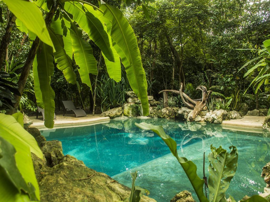מלון La Hacienda Cancun- El Ramonal, Monkey Sanctuary מראה חיצוני תמונה